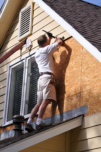 Shed Removal in View Park Windsor Hills, CA